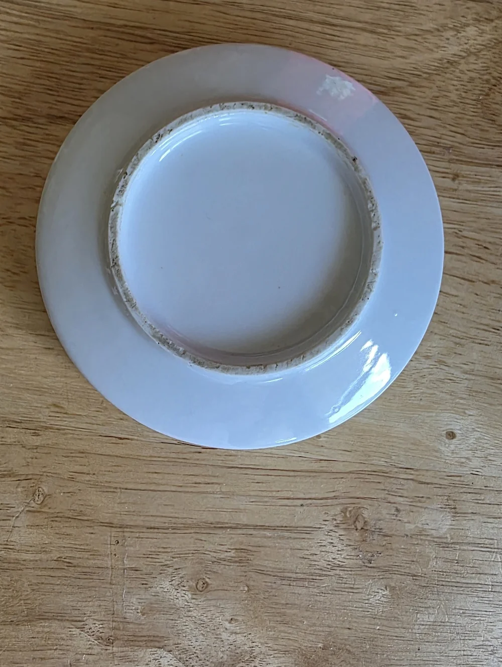 Golden Retriever Ceramic Dog Bowl Decor